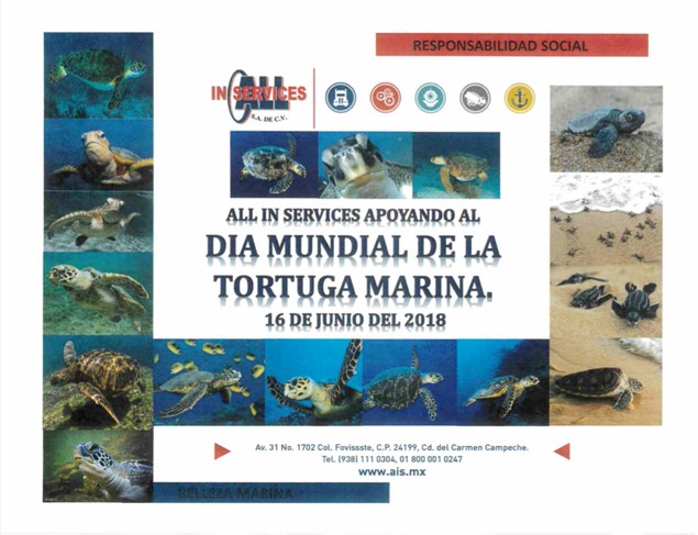 Día Mundial de la Tortuga Marina - AIS